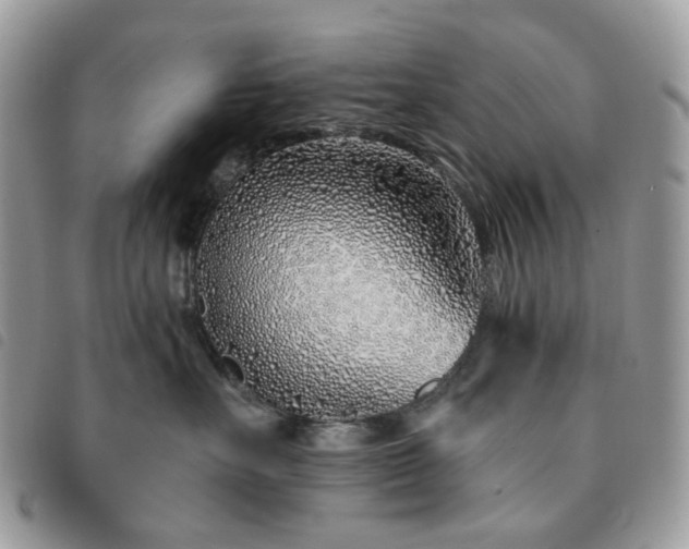 X0000091310527200708171419