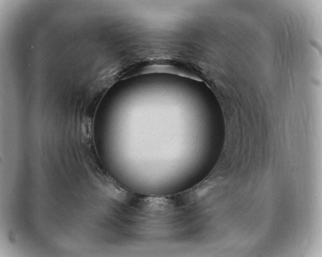 X0000091310528200708171419