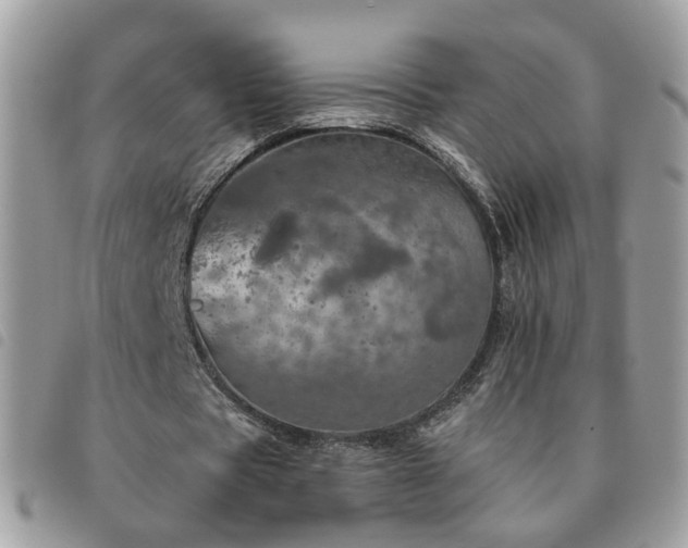 X0000091310529200708171418