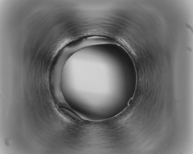 X0000091310530200708171418