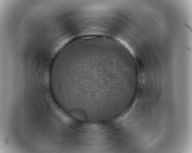 X0000091310533200708171418