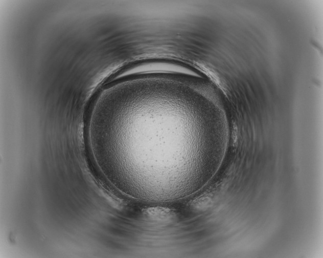 X0000091310535200708171418