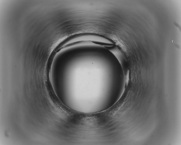 X0000091310536200708171418