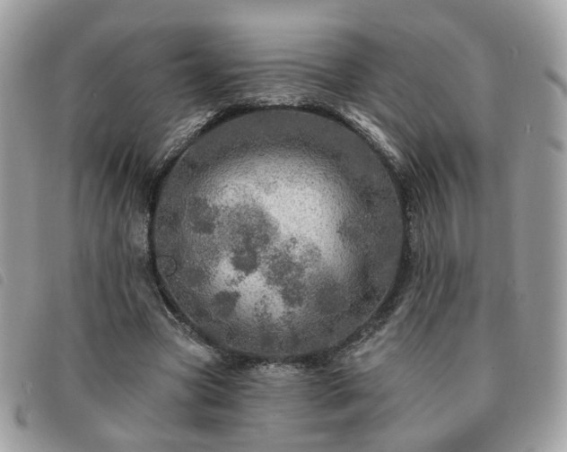 X0000091310537200708171418