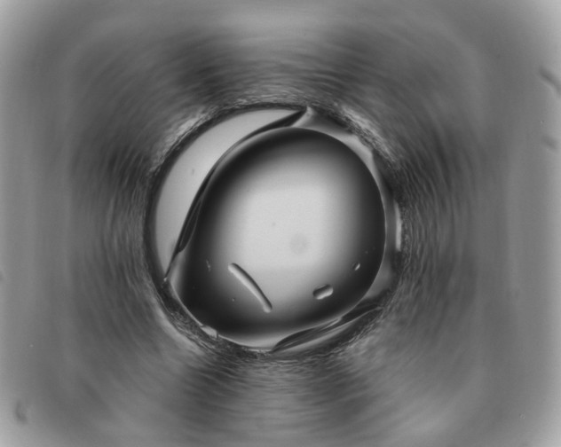 X0000091310538200708171418