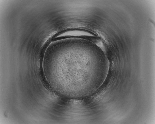 X0000091310539200708171418