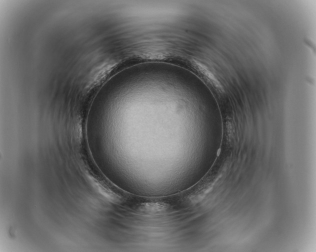 X0000091310541200708171418