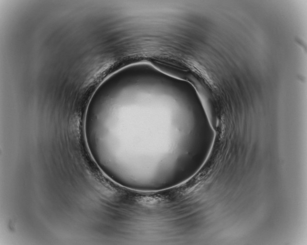 X0000091310542200708171418