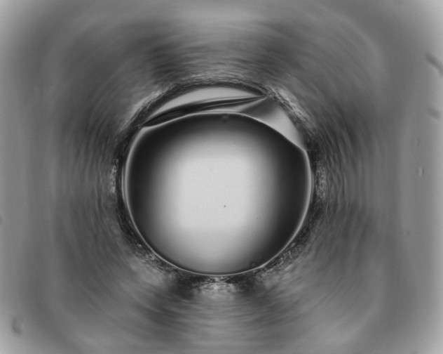 X0000091310543200708171418