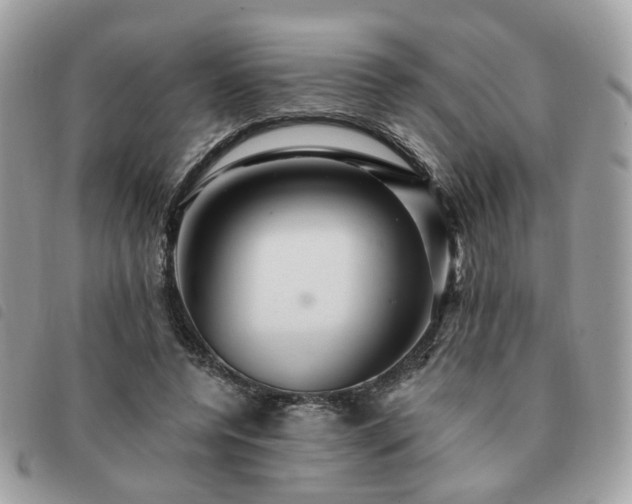 X0000091310544200708171418