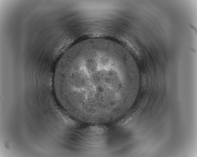 X0000091310545200708171418