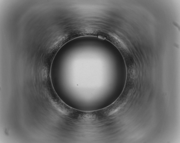 X0000091310546200708171418