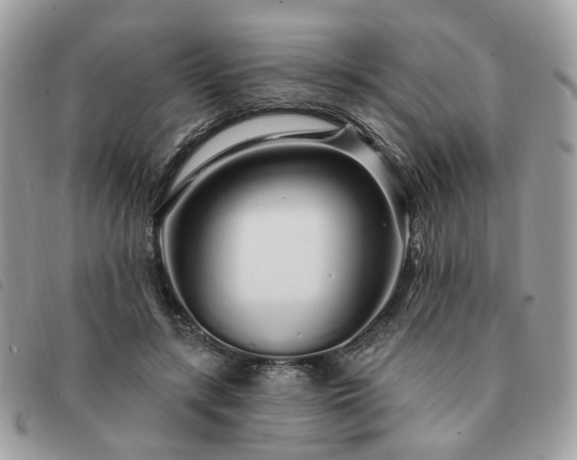 X0000091310547200708171418