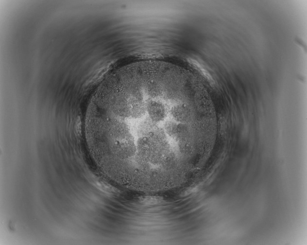 X0000091310549200708171418