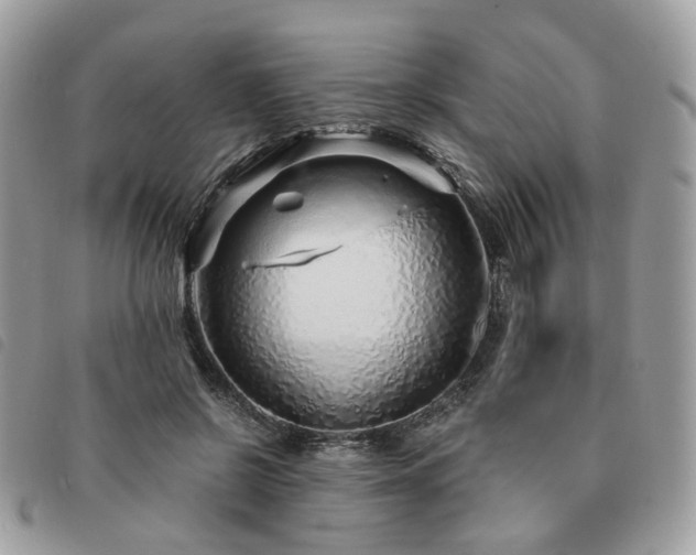 X0000091310550200708171418