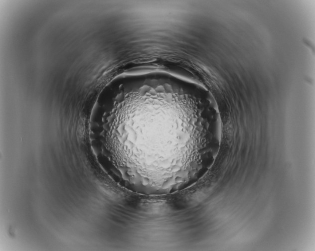 X0000091310554200708171418