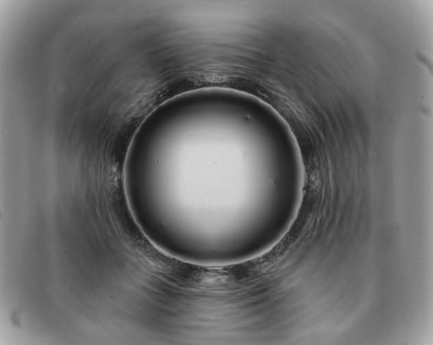 X0000091310555200708171418