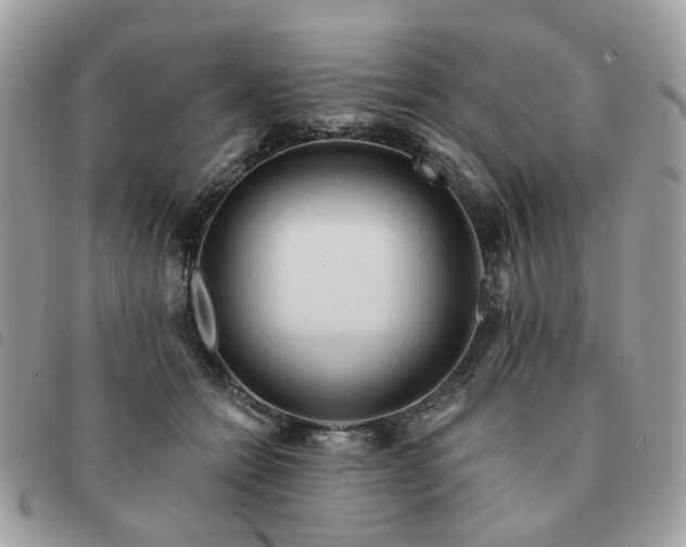 X0000091310558200708171418