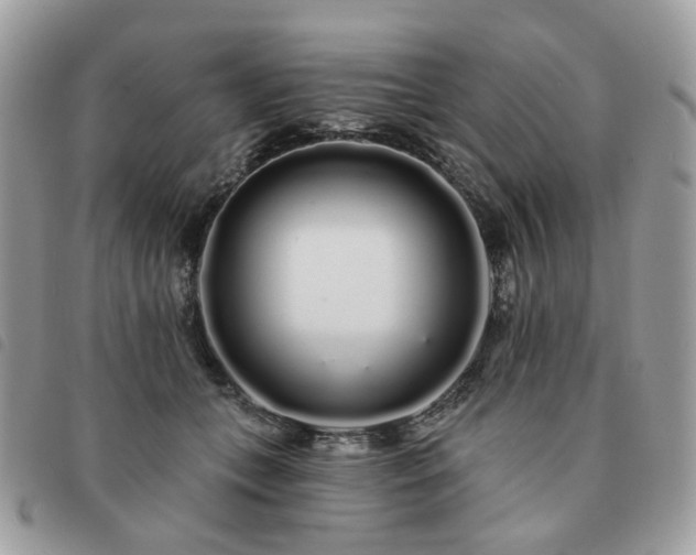 X0000091310559200708171418