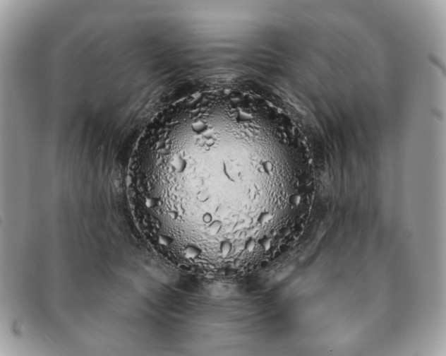 X0000091310561200708171418