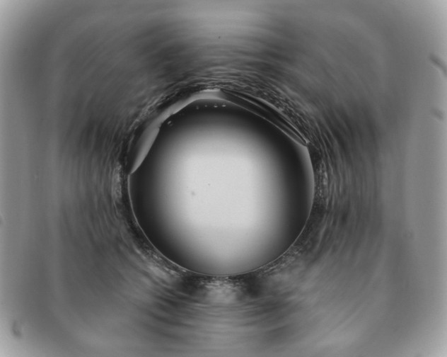 X0000091310562200708171418