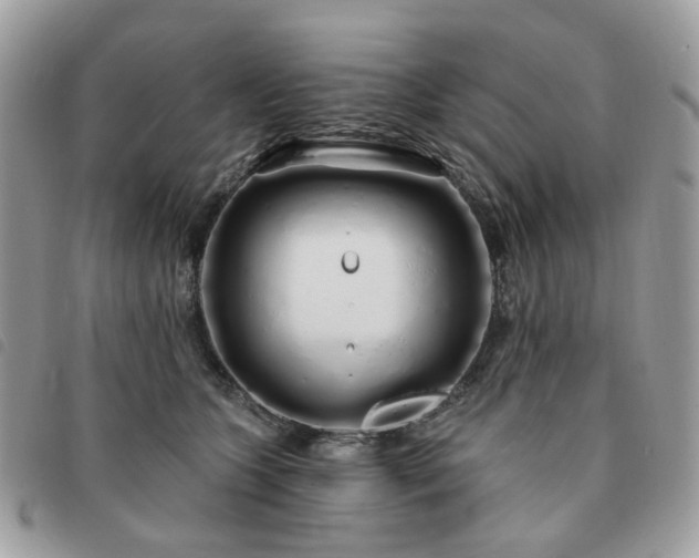 X0000091310563200708171418