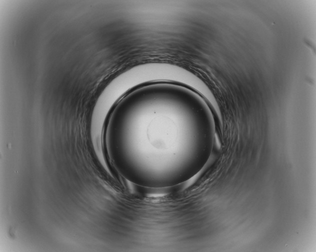 X0000091310564200708171418