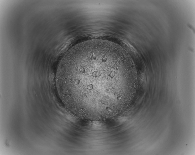 X0000091310565200708171418