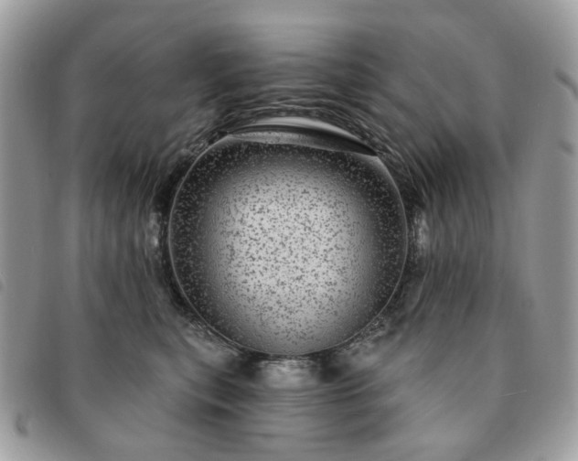 X0000091310567200708171418