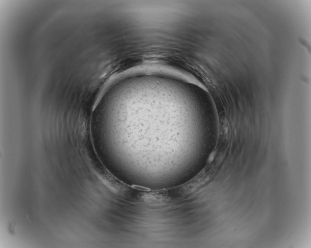 X0000091310568200708171418