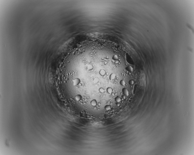 X0000091310569200708171418