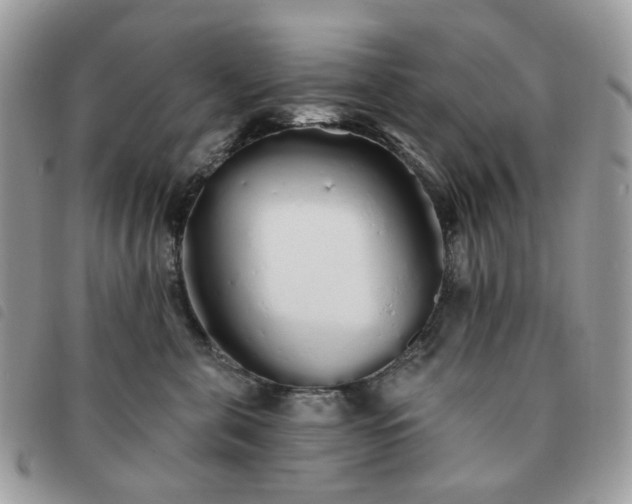 X0000091310571200708171418