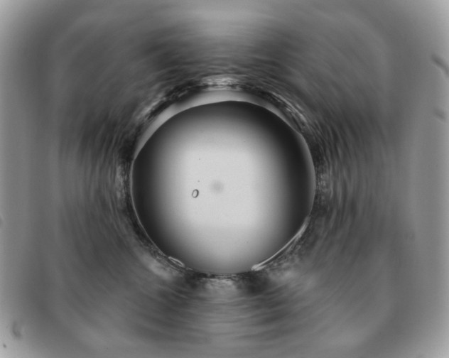 X0000091310572200708171418