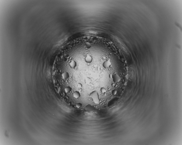 X0000091310573200708171419