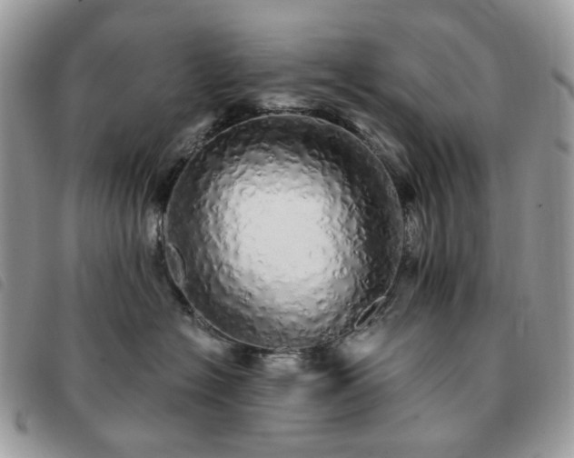 X0000091310574200708171419