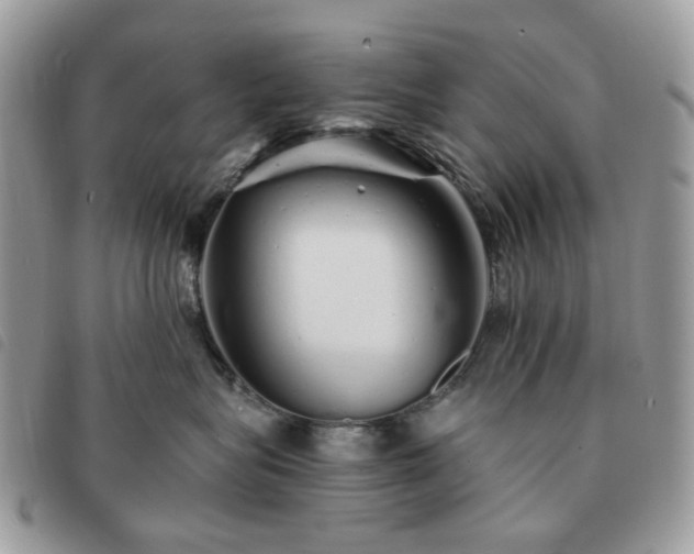 X0000091310575200708171419