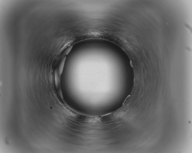 X0000091310576200708171419