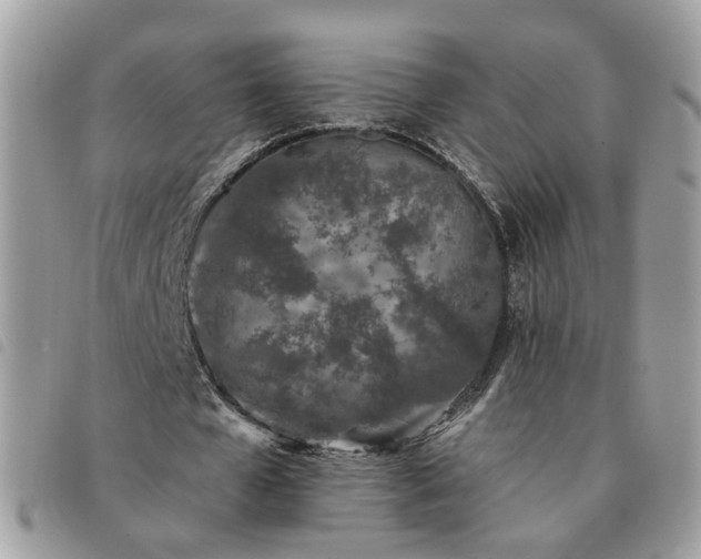 X0000091310577200708171418