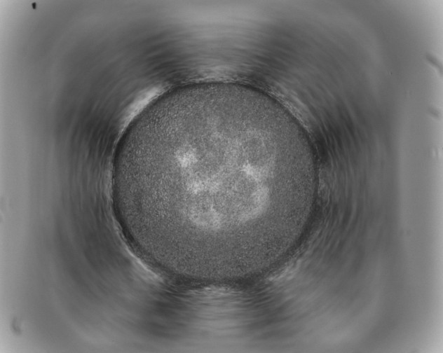 X0000091310578200708171418