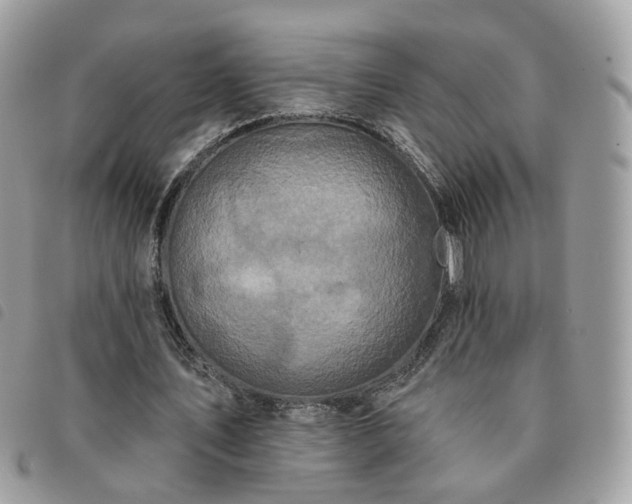 X0000091310579200708171418