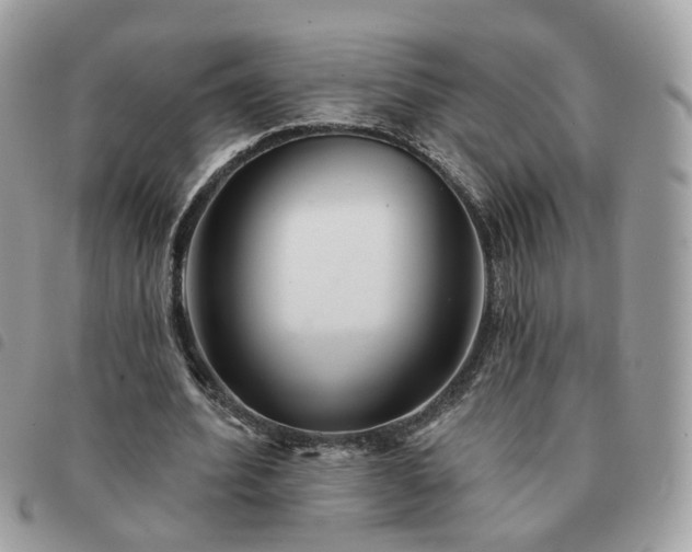 X0000091310580200708171418