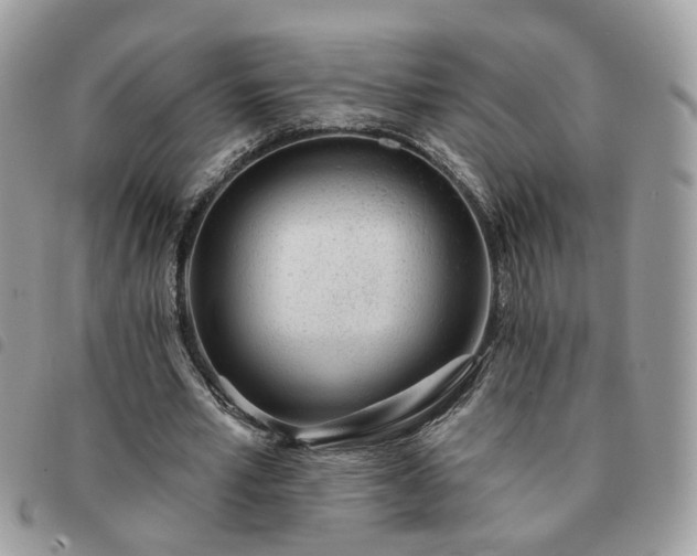 X0000091310581200708171418