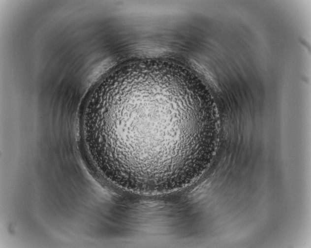 X0000091310582200708171418