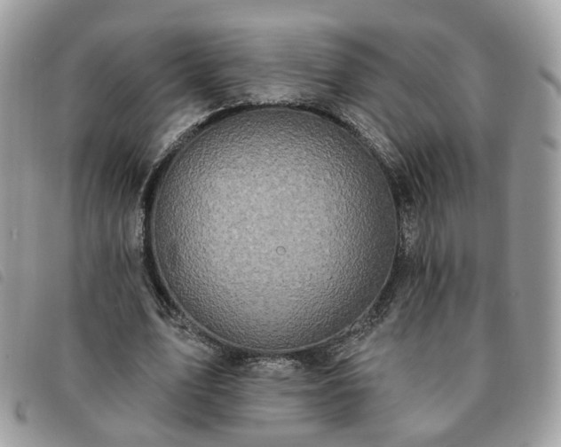 X0000091310583200708171418