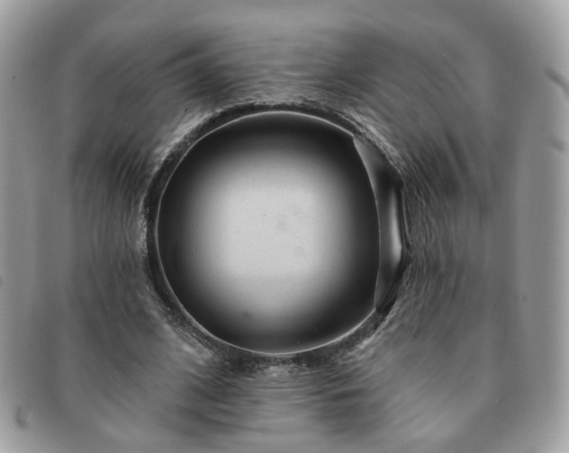 X0000091310584200708171418