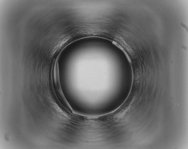 X0000091310585200708171418