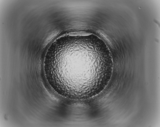 X0000091310586200708171418