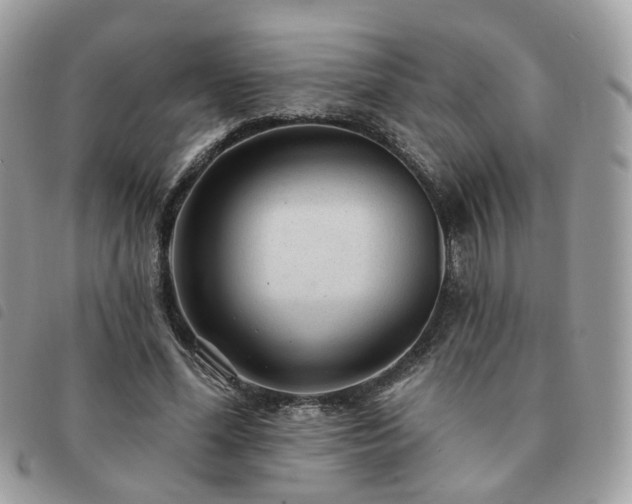 X0000091310588200708171417