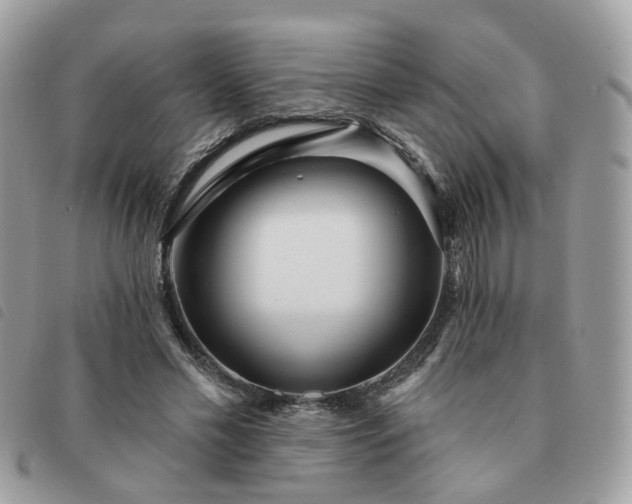 X0000091310589200708171417