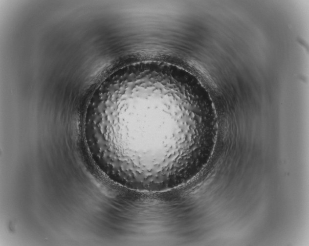 X0000091310590200708171417